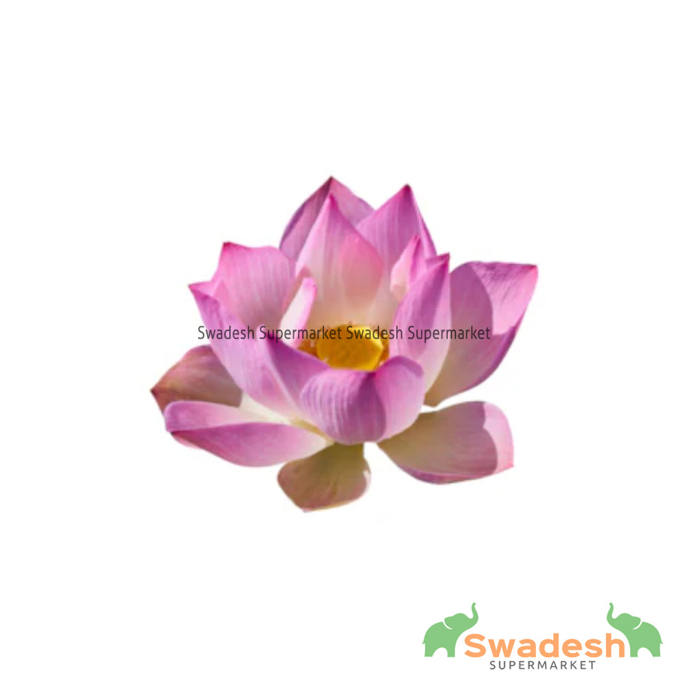 Lotus Flower 2Pc — Swadesh Supermarket
